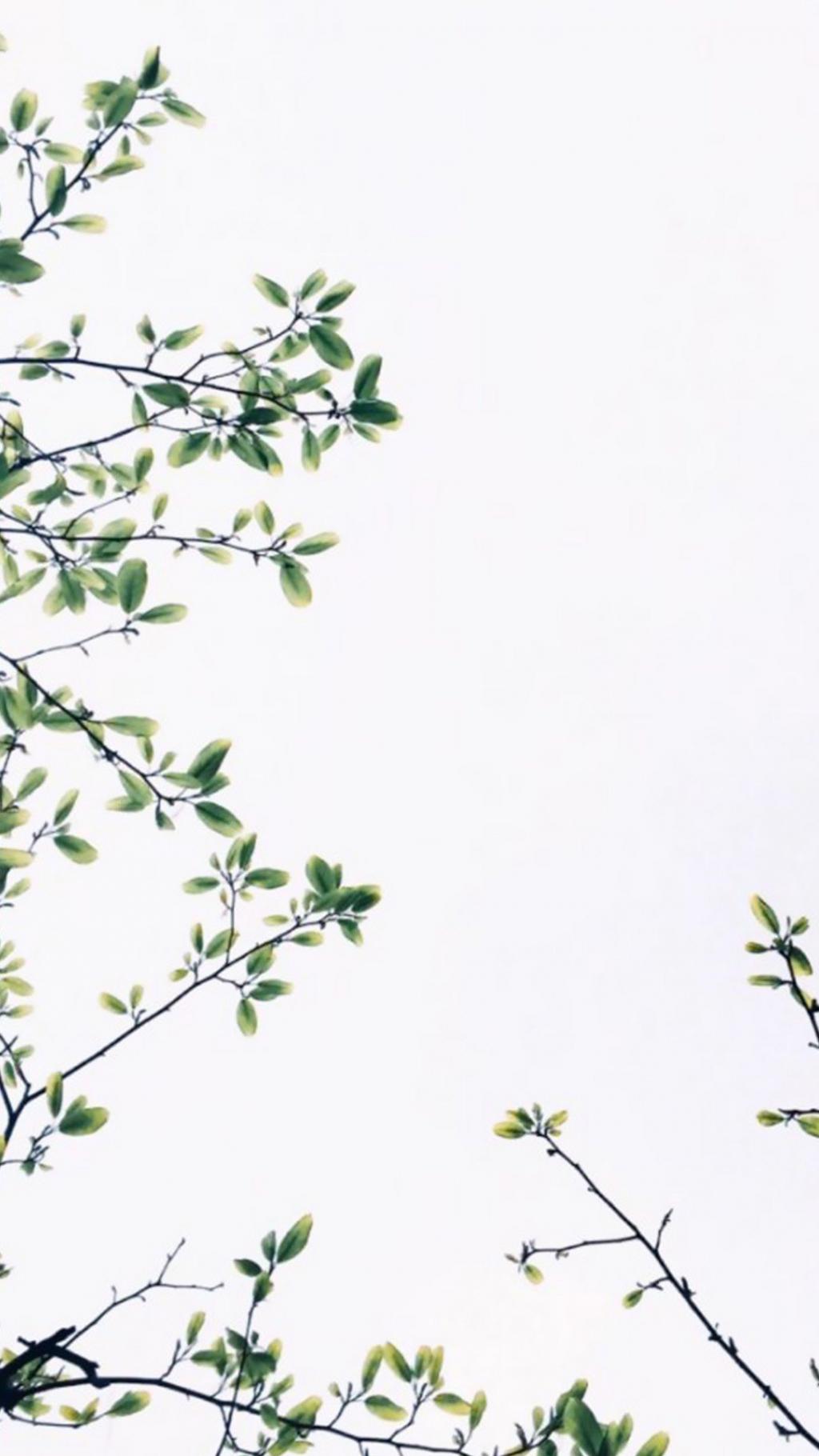 日系小清新唯美静物摄影