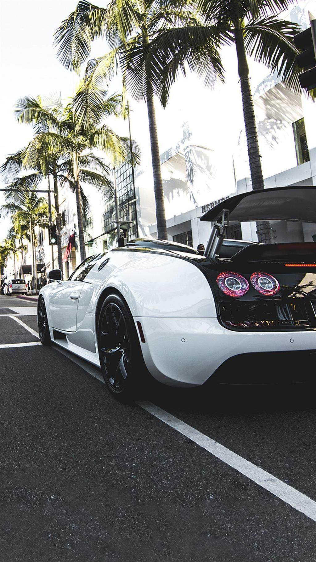 拉风跑车尾部特写