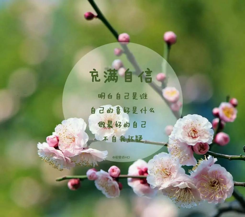 微信朋友圈早安