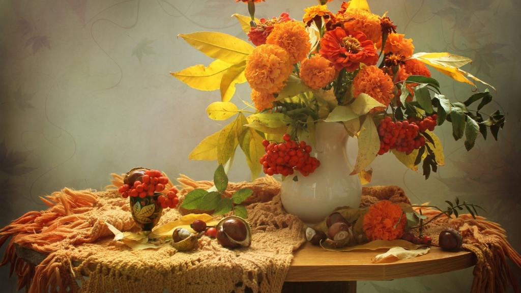 万寿菊唯美写真