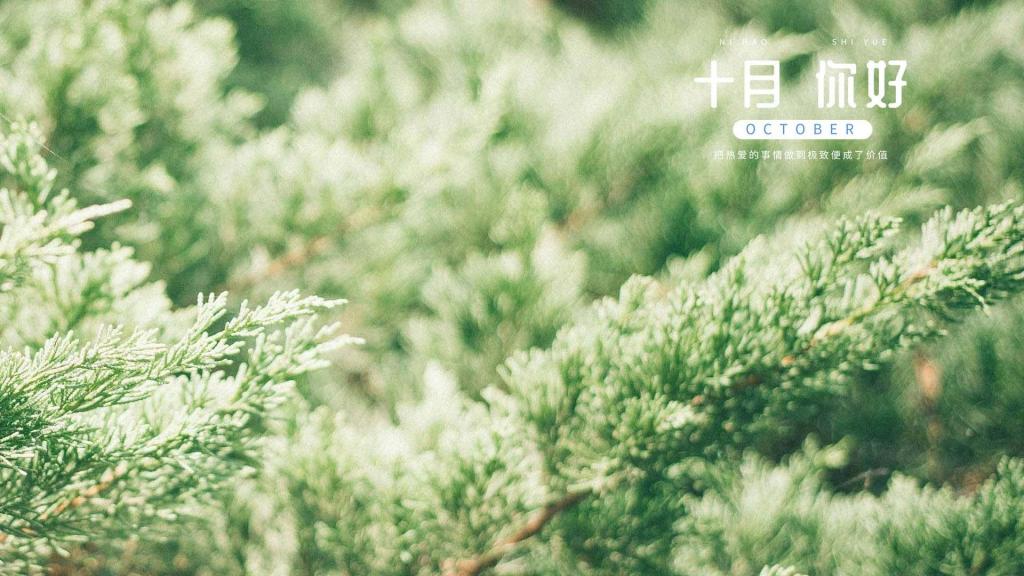 你好十月清新护眼朦胧绿植