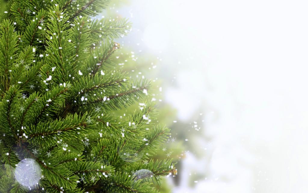 圣诞树创意静物写真