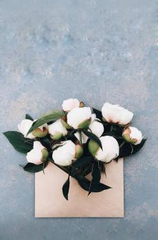 唯美信封花束-3