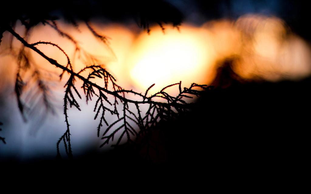 捕捉瞬间精彩唯美写真