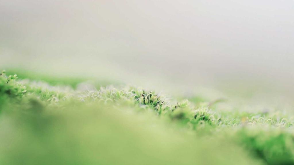 唯美家居静物写真