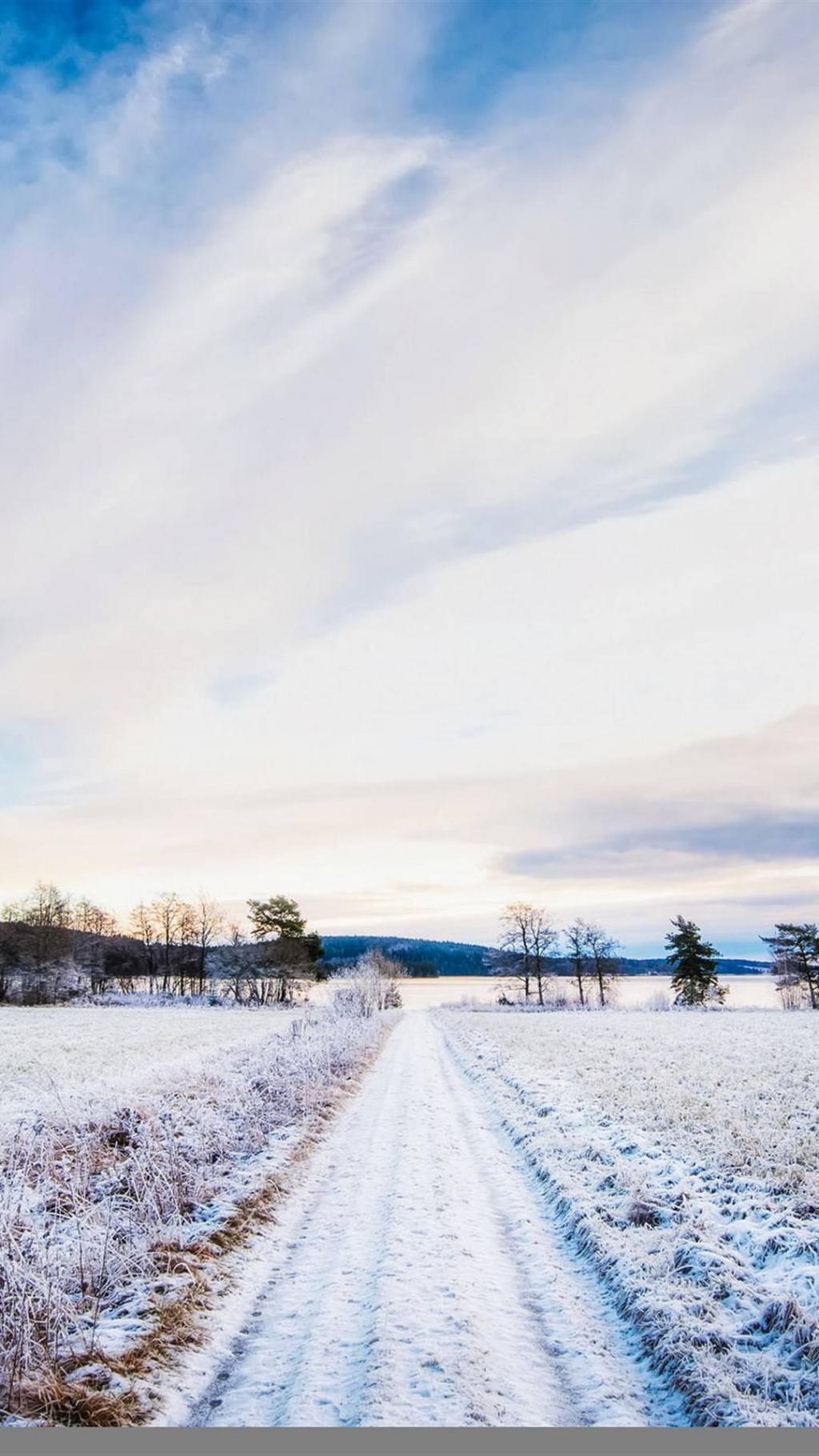 你在南方的艳阳里大雪纷飞