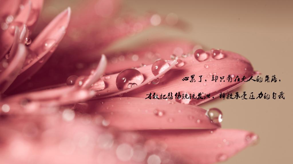 一个人心很累的文艺伤感句子图片