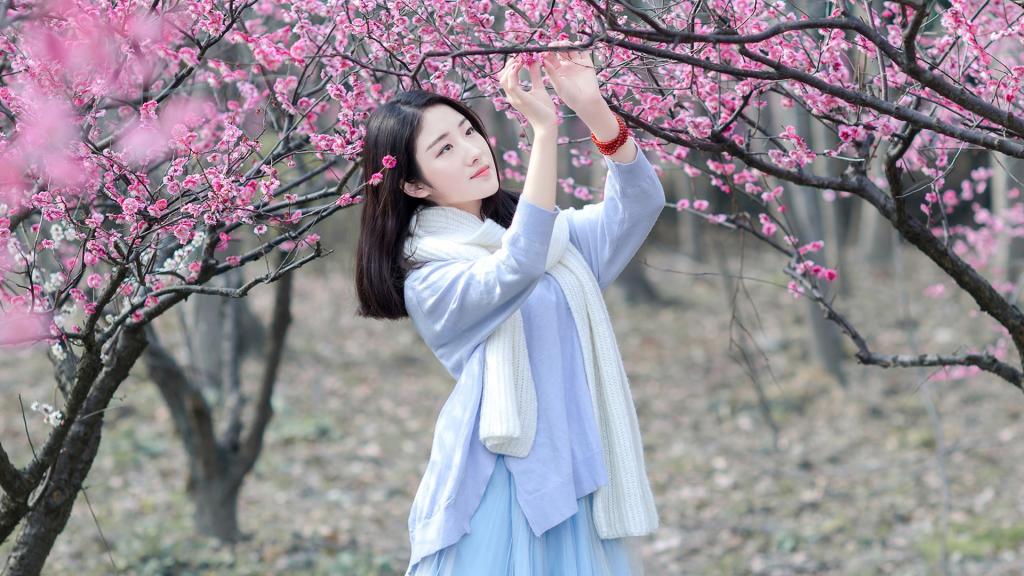 美如百合花一样的女子