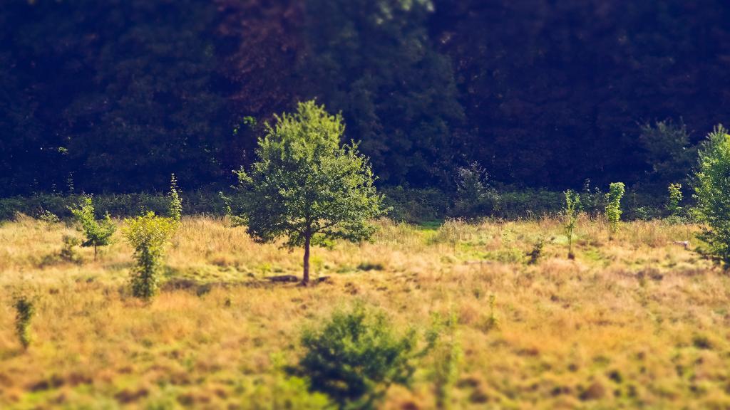 小人国般的微缩世界