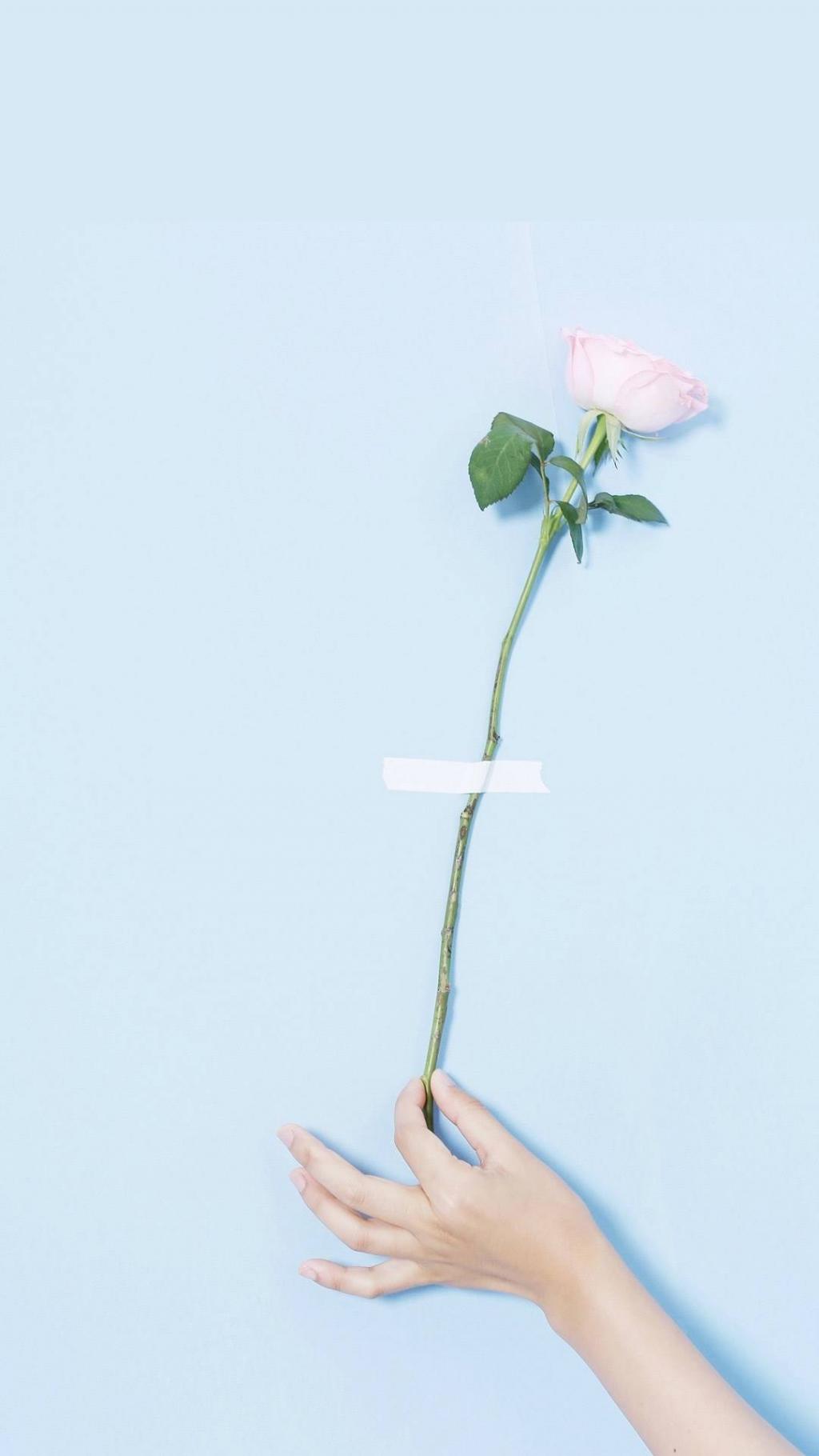 小清新静物写真