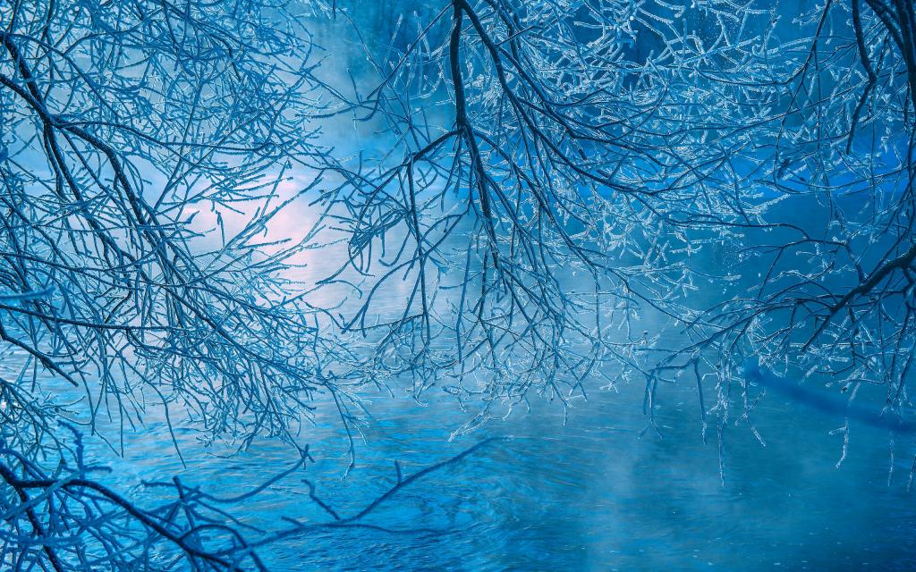 我的家乡有雾凇