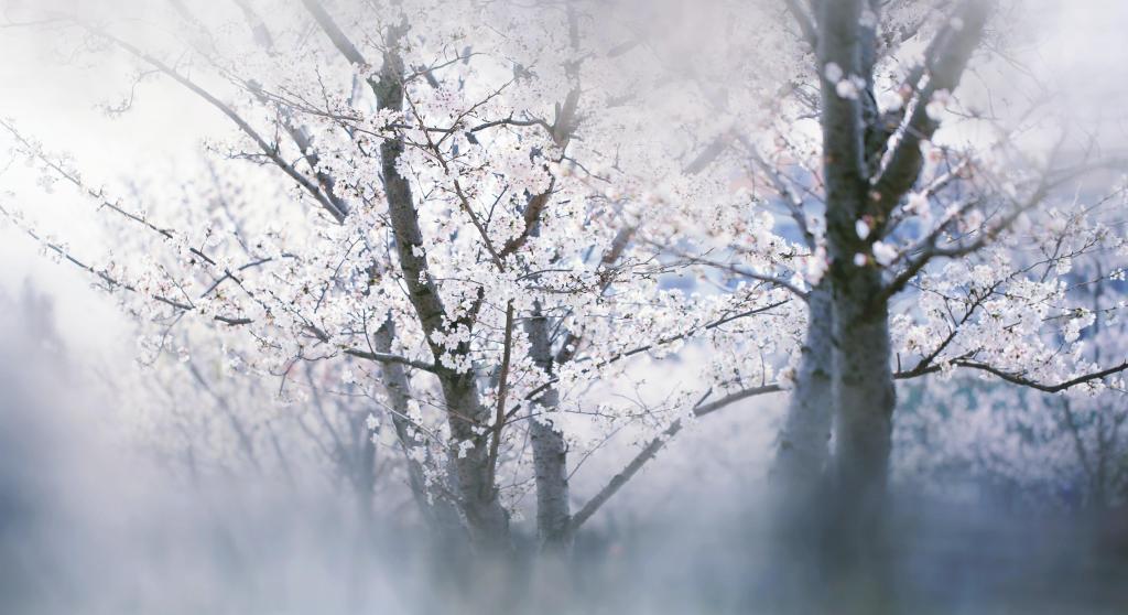 浪漫迷人的花花世界