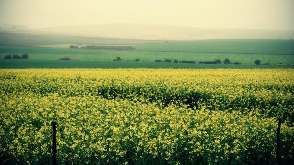 唯美超视野自然风景
