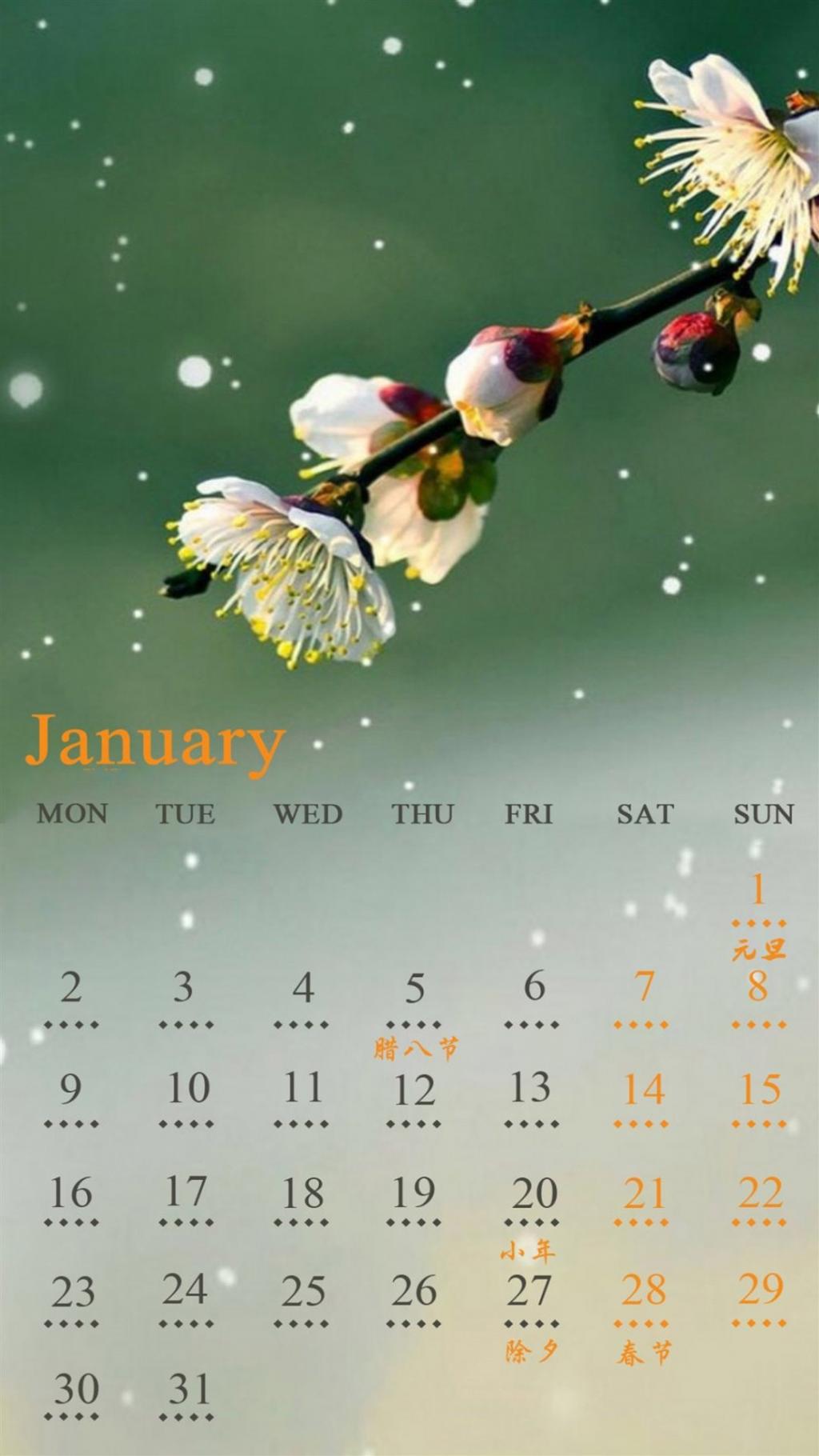 2017年1月绿色护眼日历