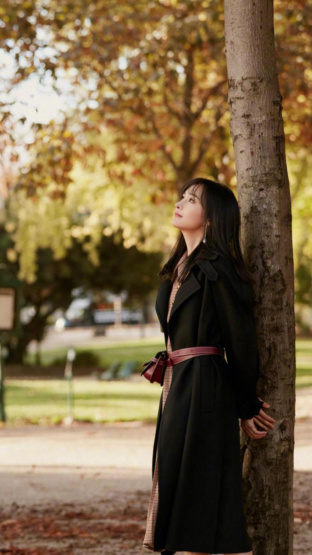 清新甜美郑爽时尚气质写真