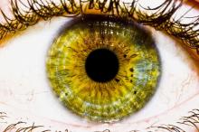 世界上最美的眼睛颜色