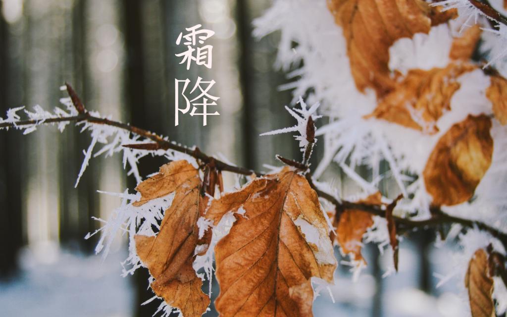 霜降到了,愿一切都好