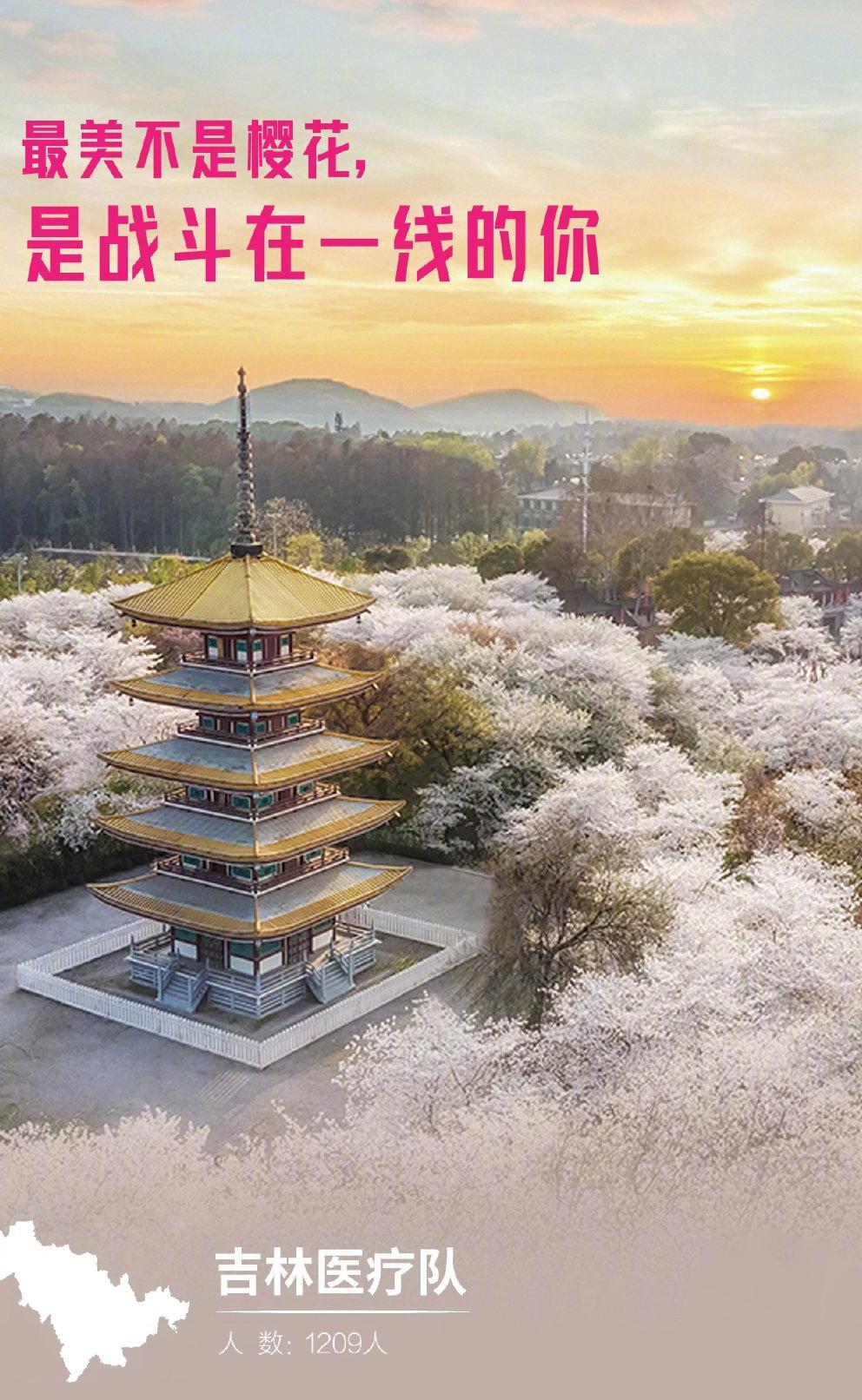 最美的不是樱花,是战斗在一线的你们