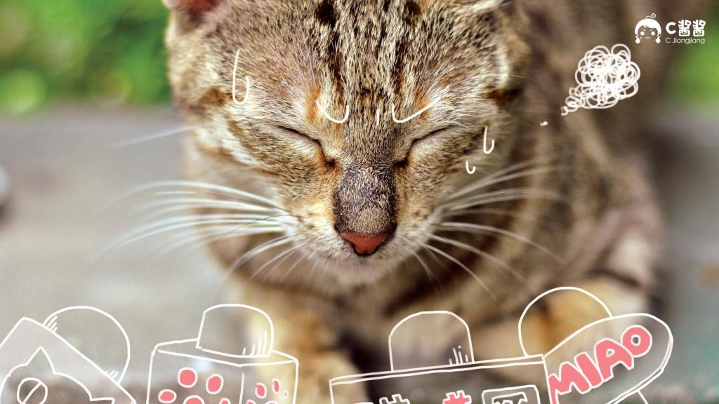 恶搞喵星人(猫咪)