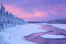 森林唯美雪地雪景