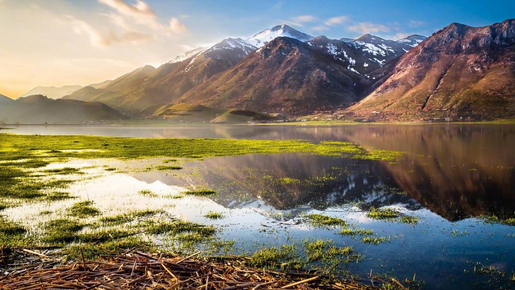 绿色护眼自然美景