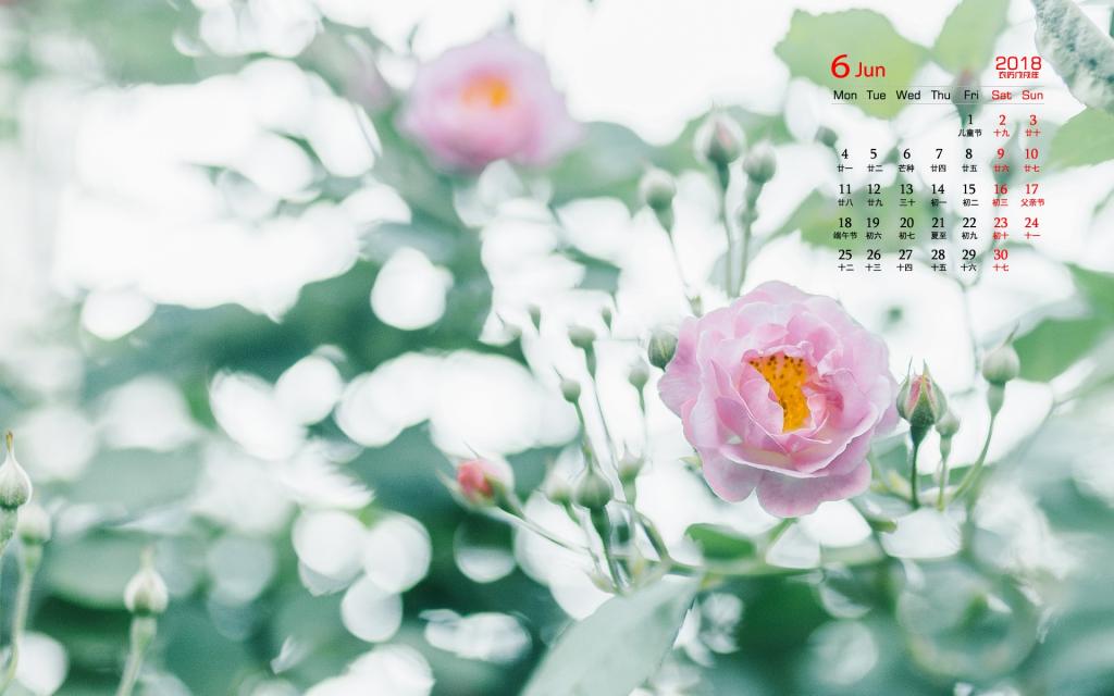 2018年6月小清新植物日历