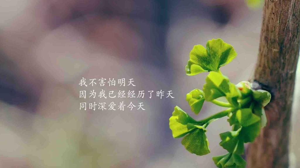 早晨问候语图片