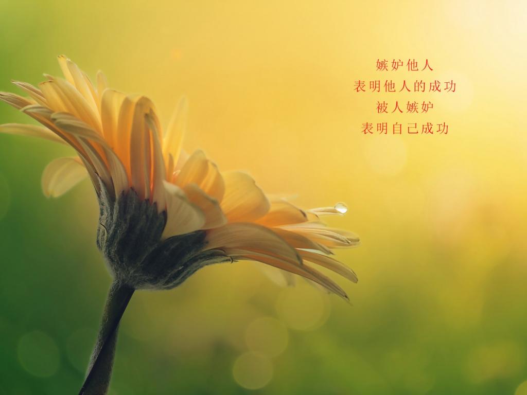 简短感悟人生的句子