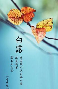 一年的白露即将来到
