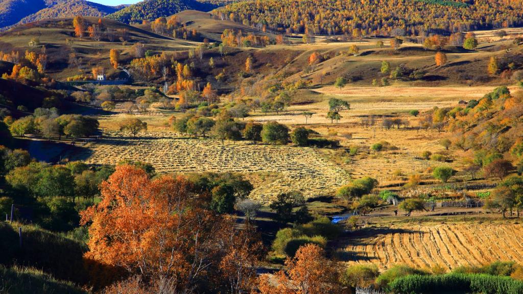 内蒙古蛤蟆坝风景