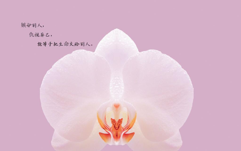 励志心语说说配图