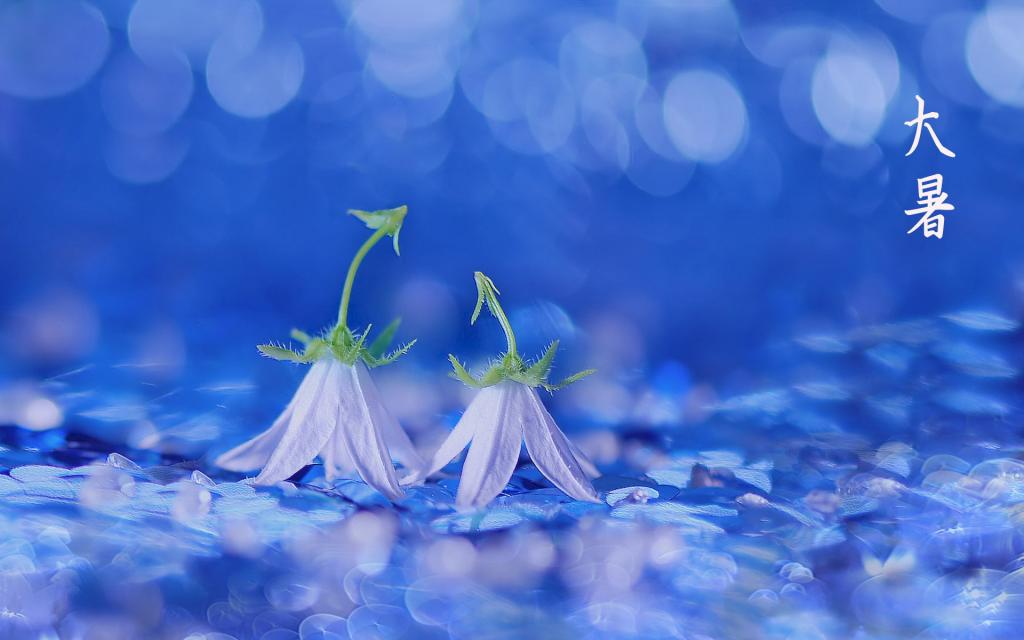 七月里炎热的大暑