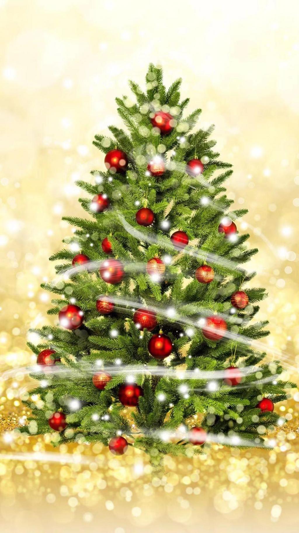 圣诞节在悄悄靠近