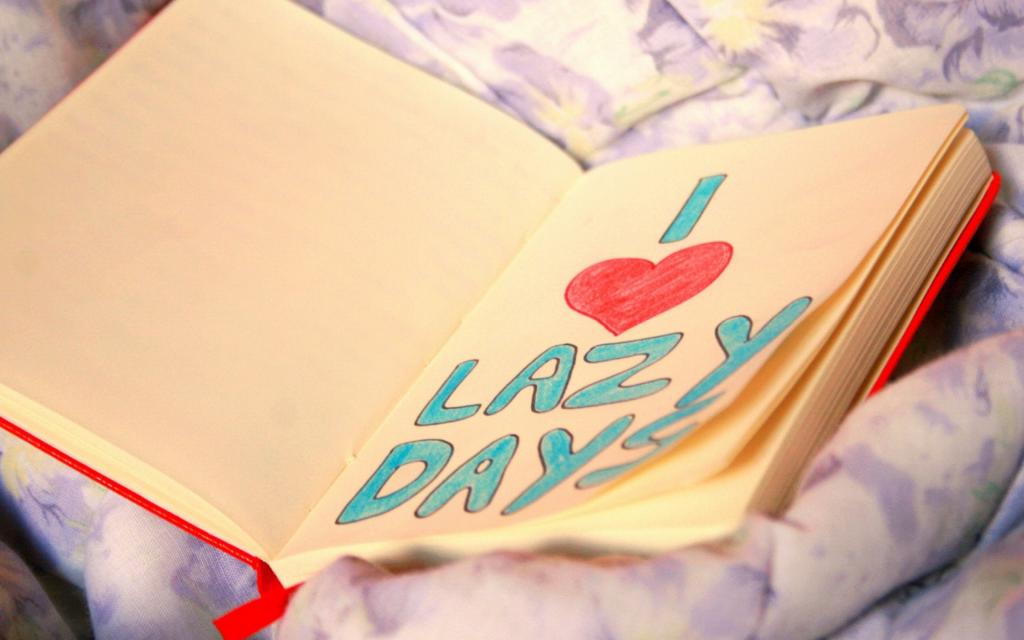 (书写爱意)情人节