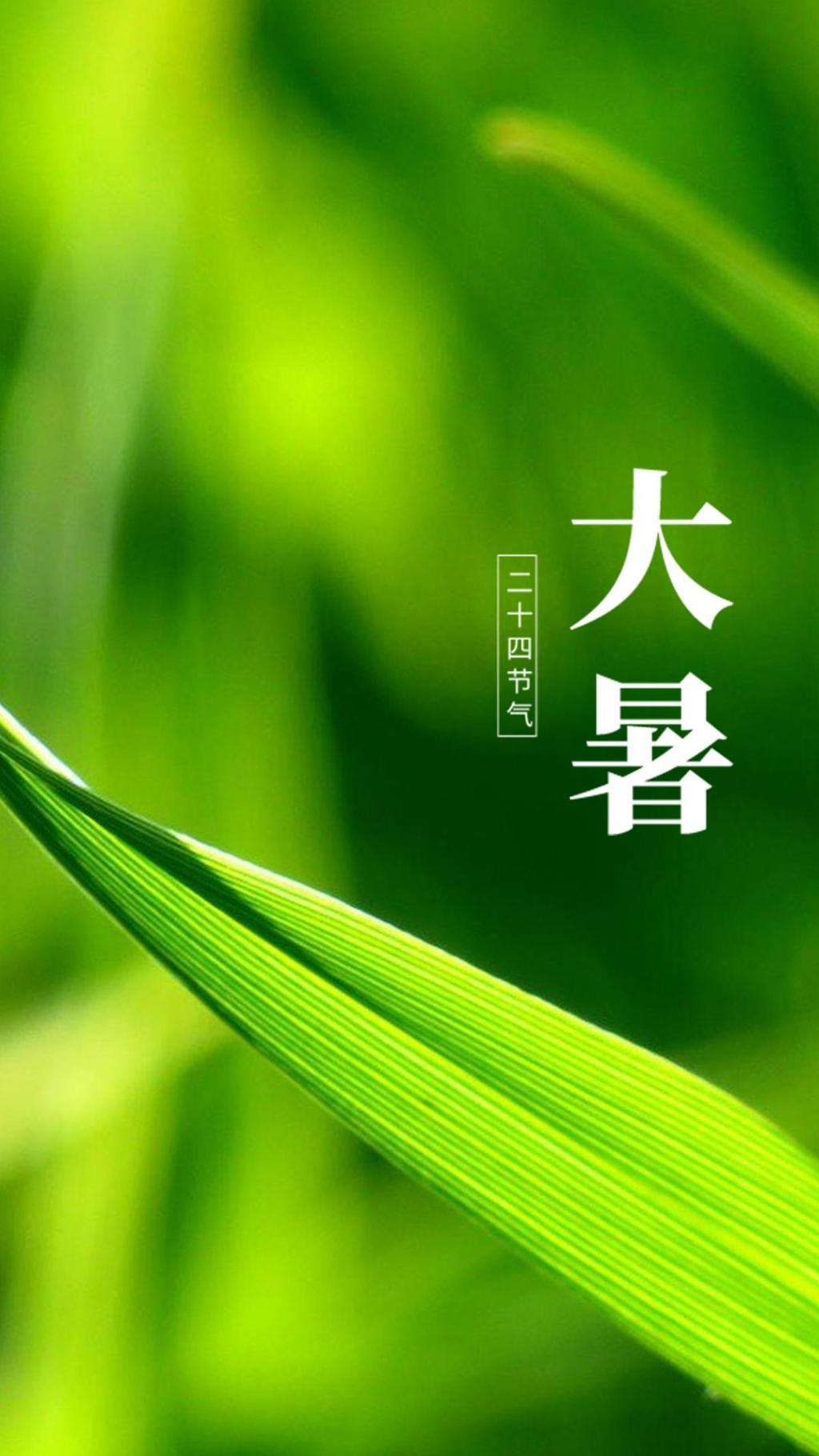 二十四节气之一大暑