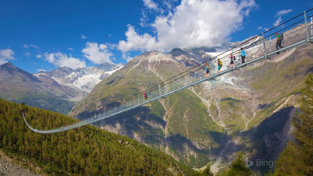 2018年Bing官方主题