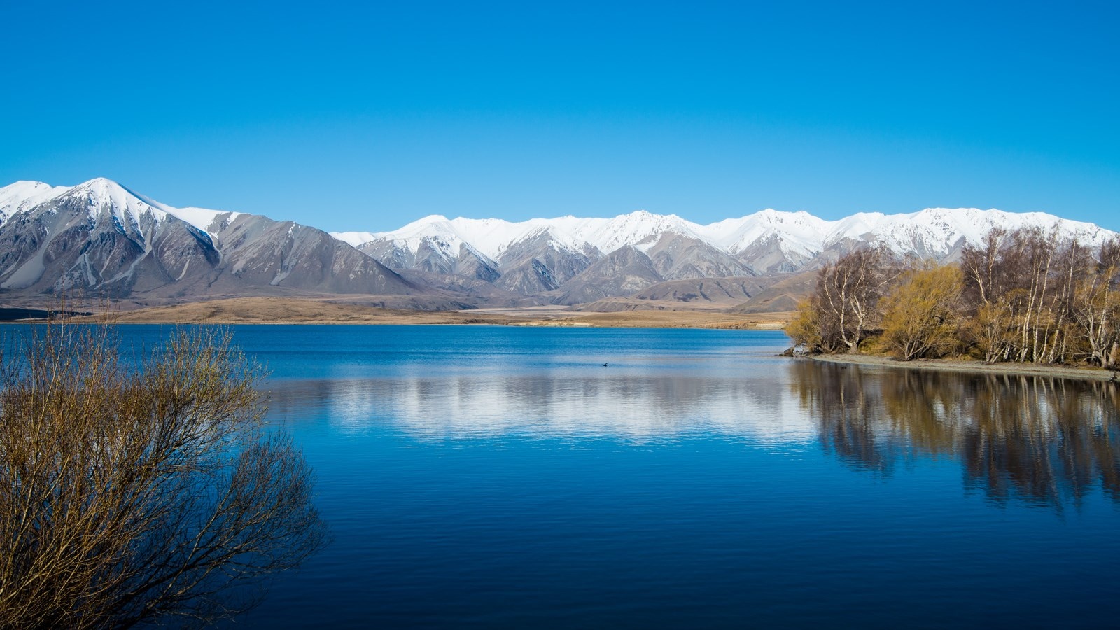 新西兰白鹭湖风景