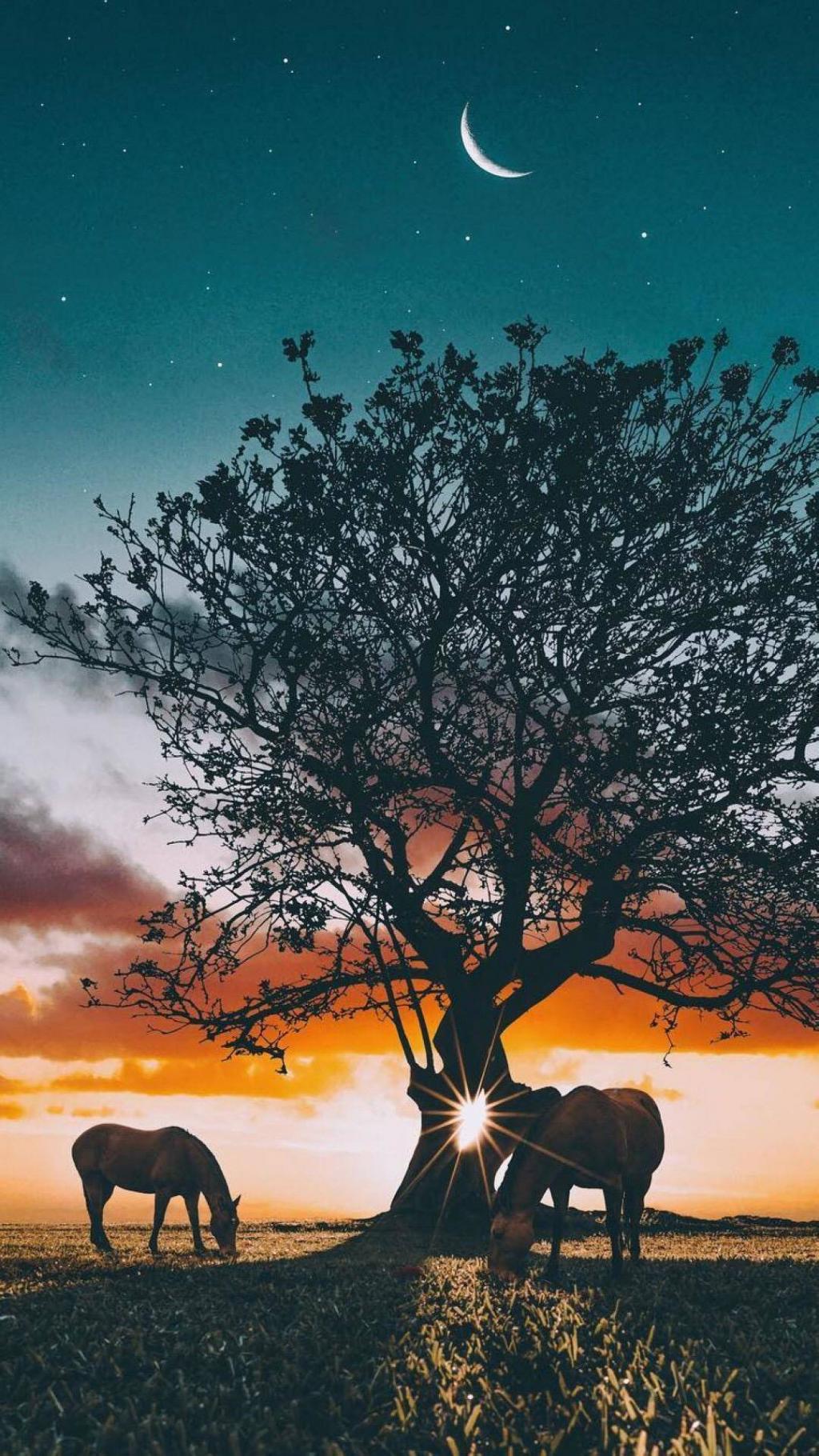 夜晚风景月亮高清图片