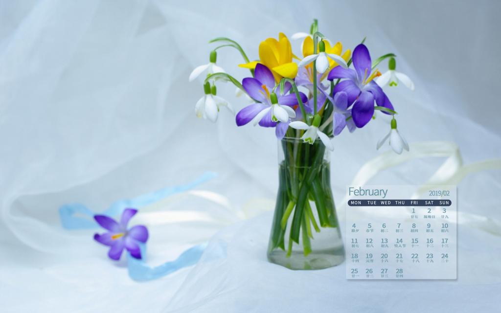 2019年2月居家唯美花卉装饰写真日历
