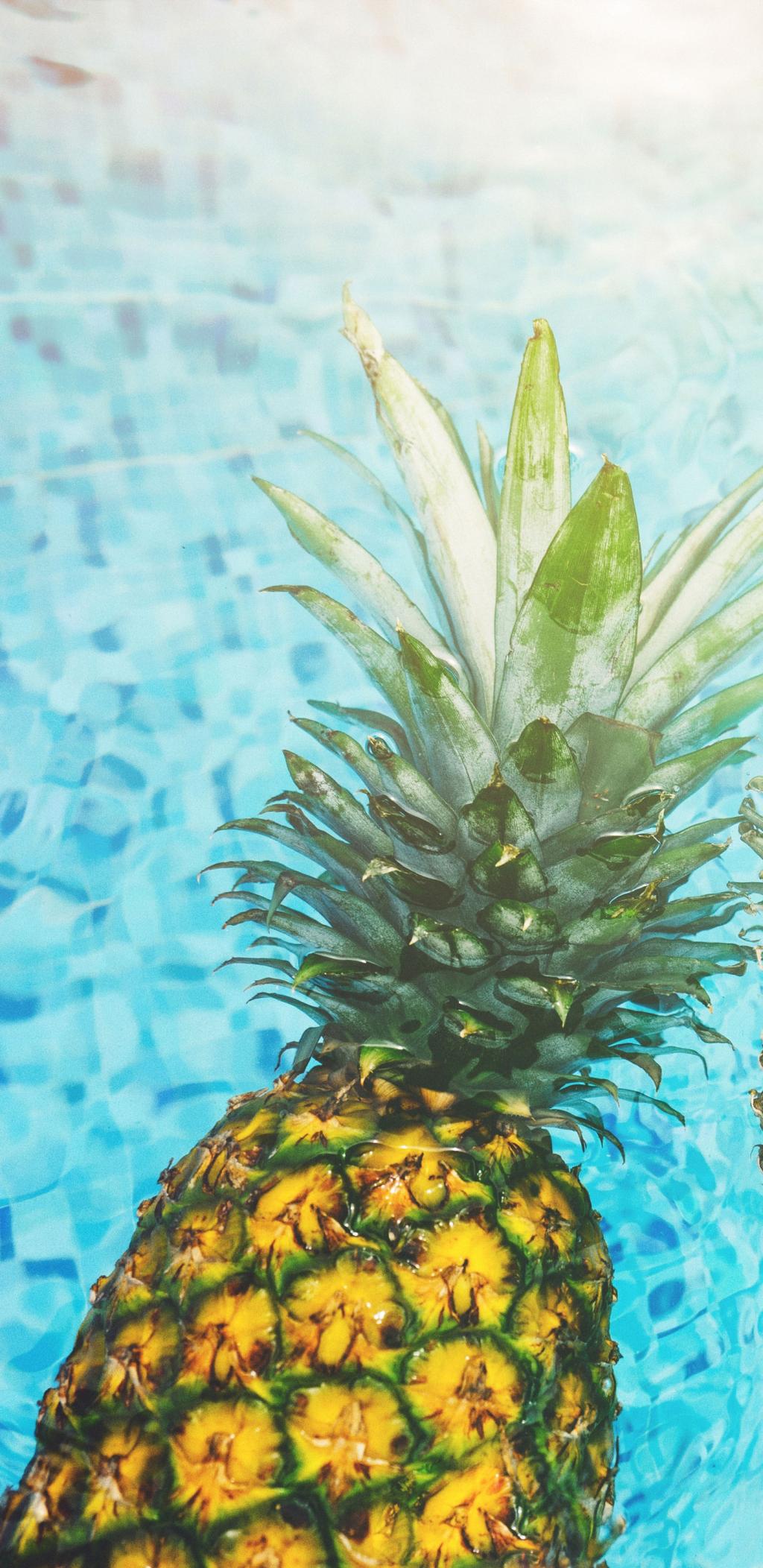 菠萝是岭南四大名果之一