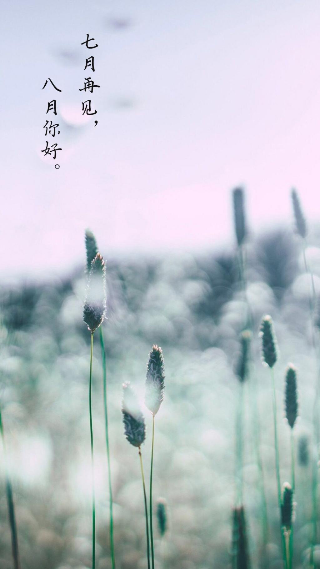 八月你好,七月再见