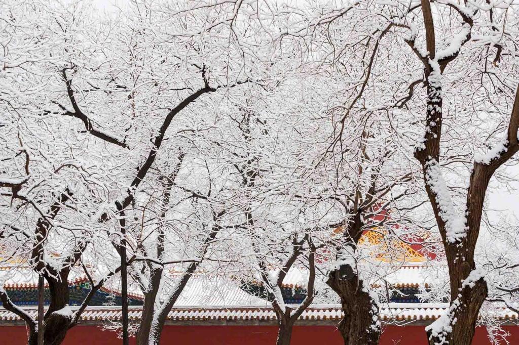 北京故宫大雪纷飞绝美迷人风光