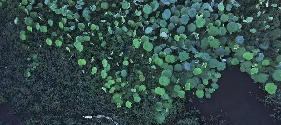 历史文化名城—黟县