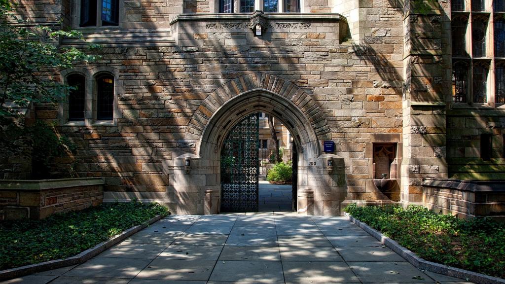 努力上世界名校的动力