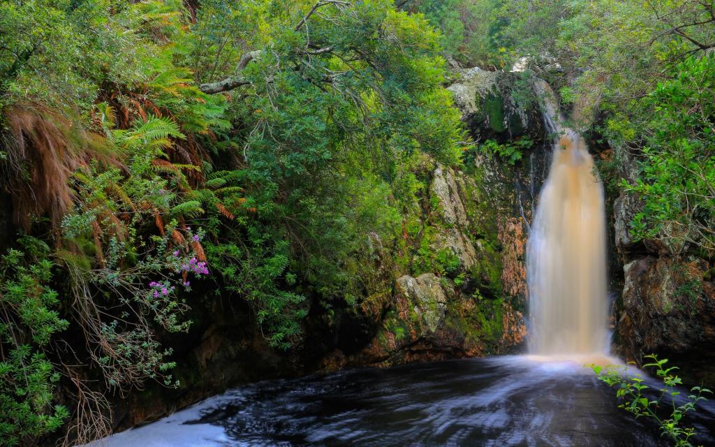 林间小瀑布护眼壁纸