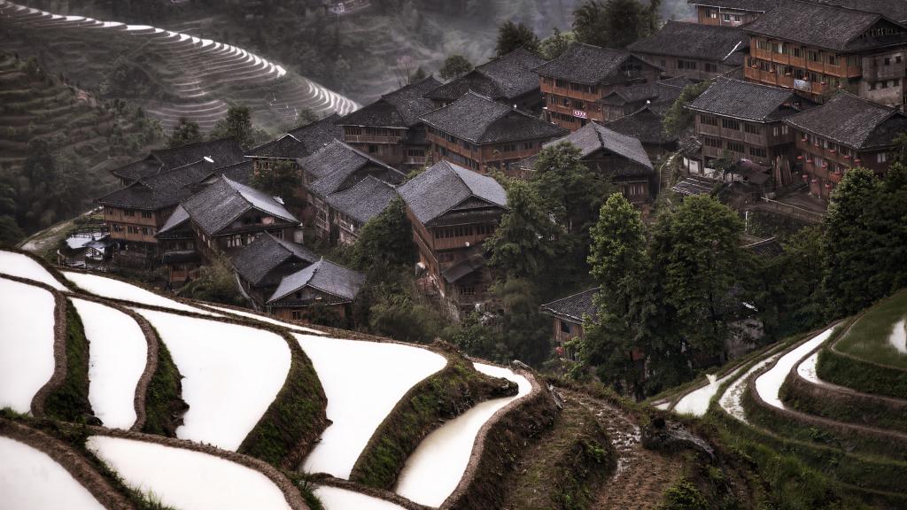 层层叠叠的绿色梯田