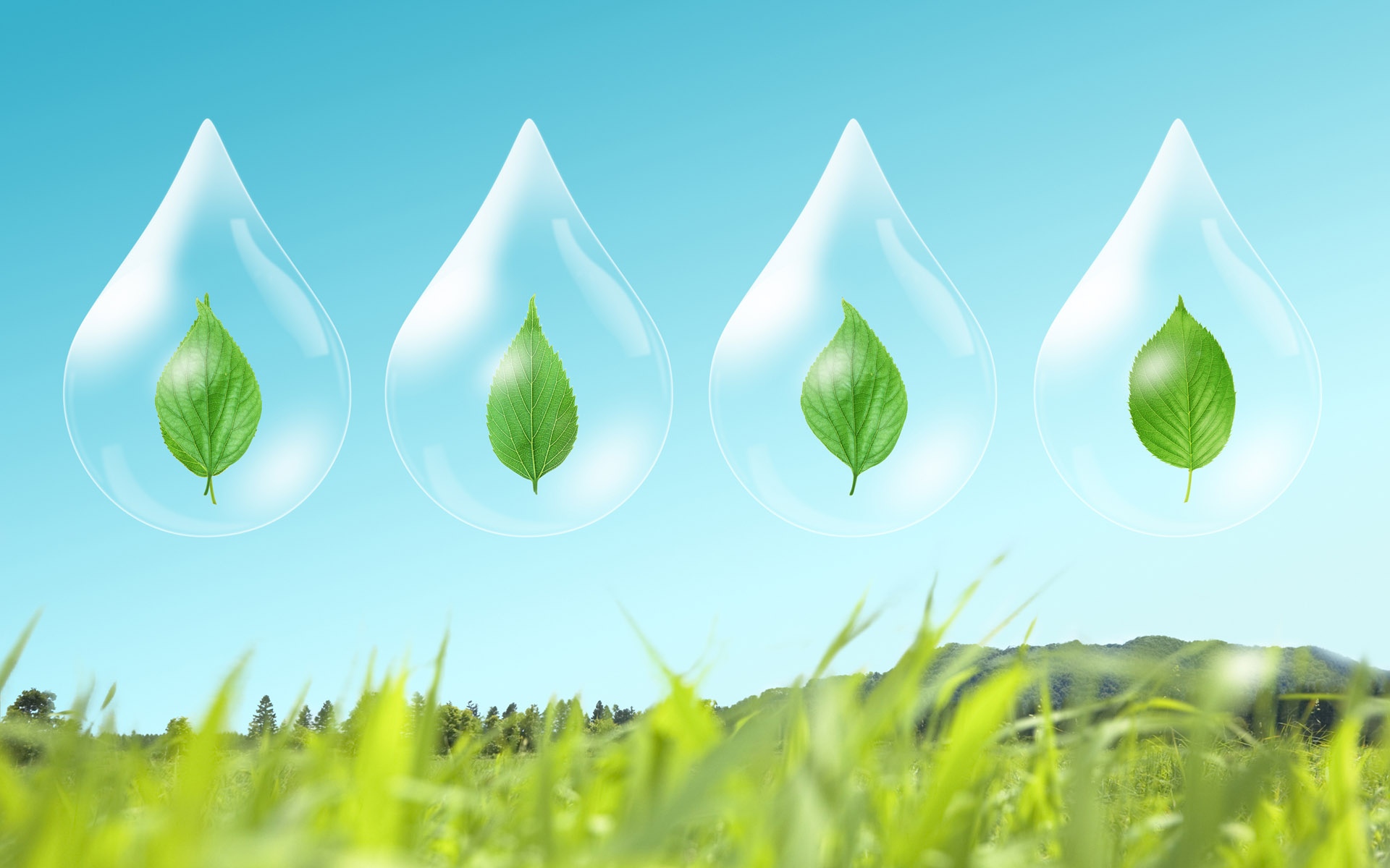 绿叶成荫绿色与自然