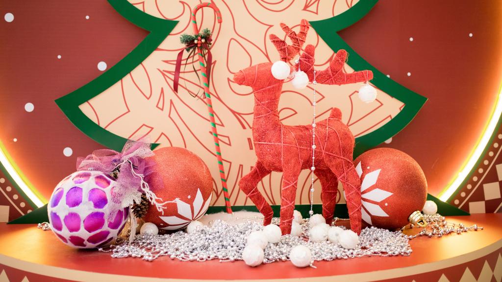 圣诞节的装饰品