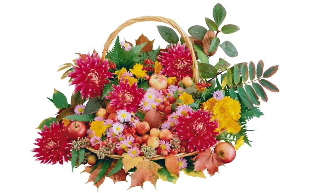 各种水果蔬菜花卉