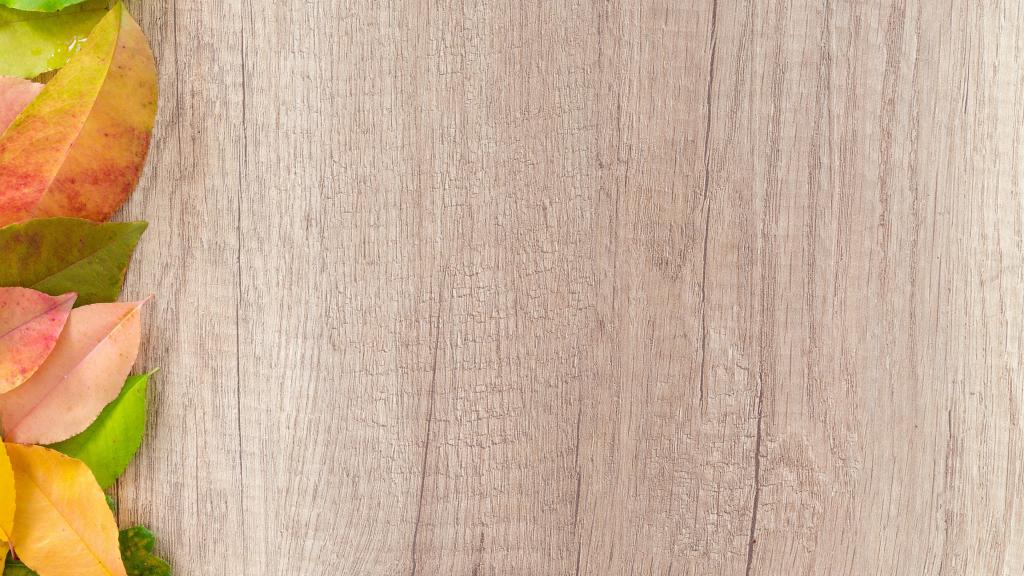 人生就如秋天的叶子